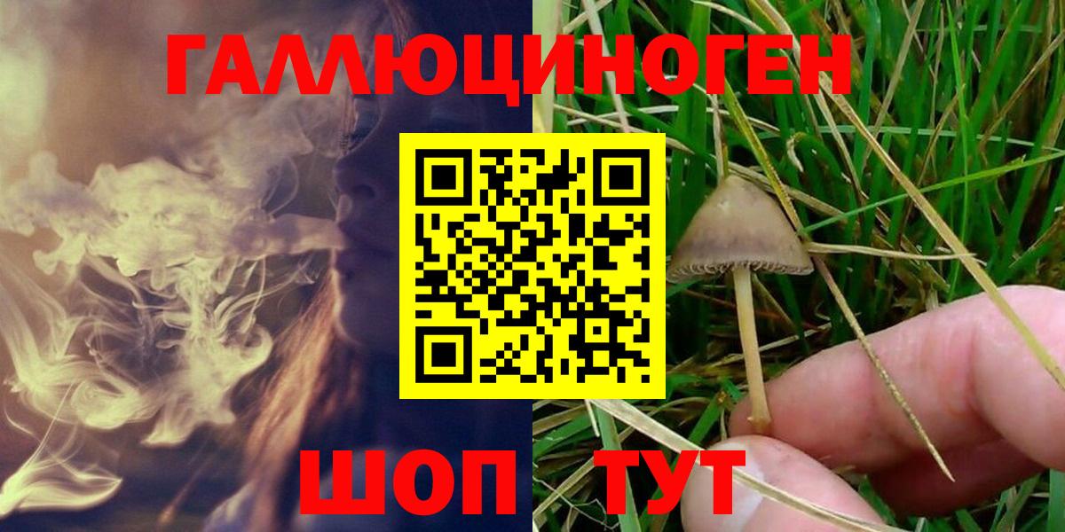 Галлюциногенные грибы Psilocybe  закладки  Бузулук  Вход с VPN 