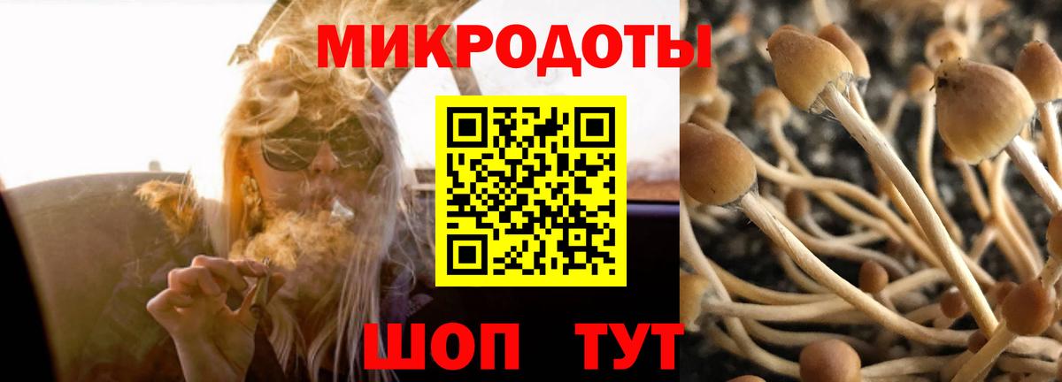 Псилоцибиновые грибы Psilocybine cubensis Бузулук